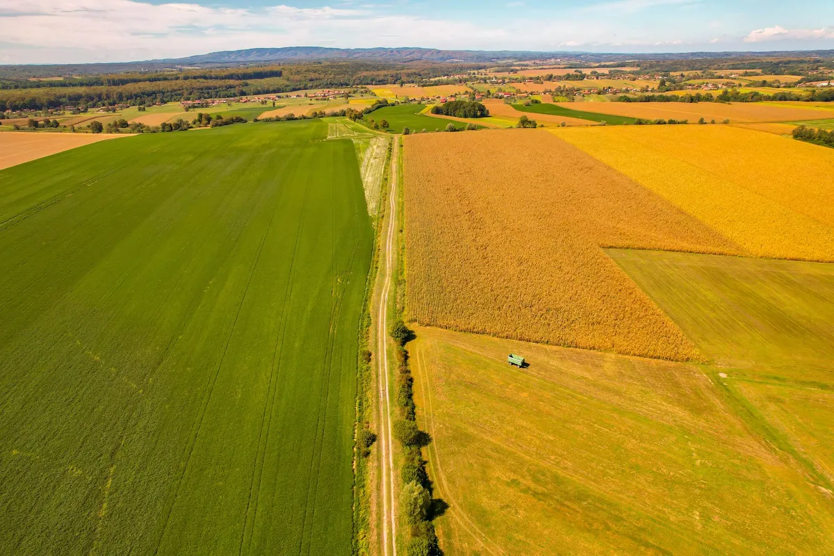 Academician Grgić Dispels Fears About Food Prices