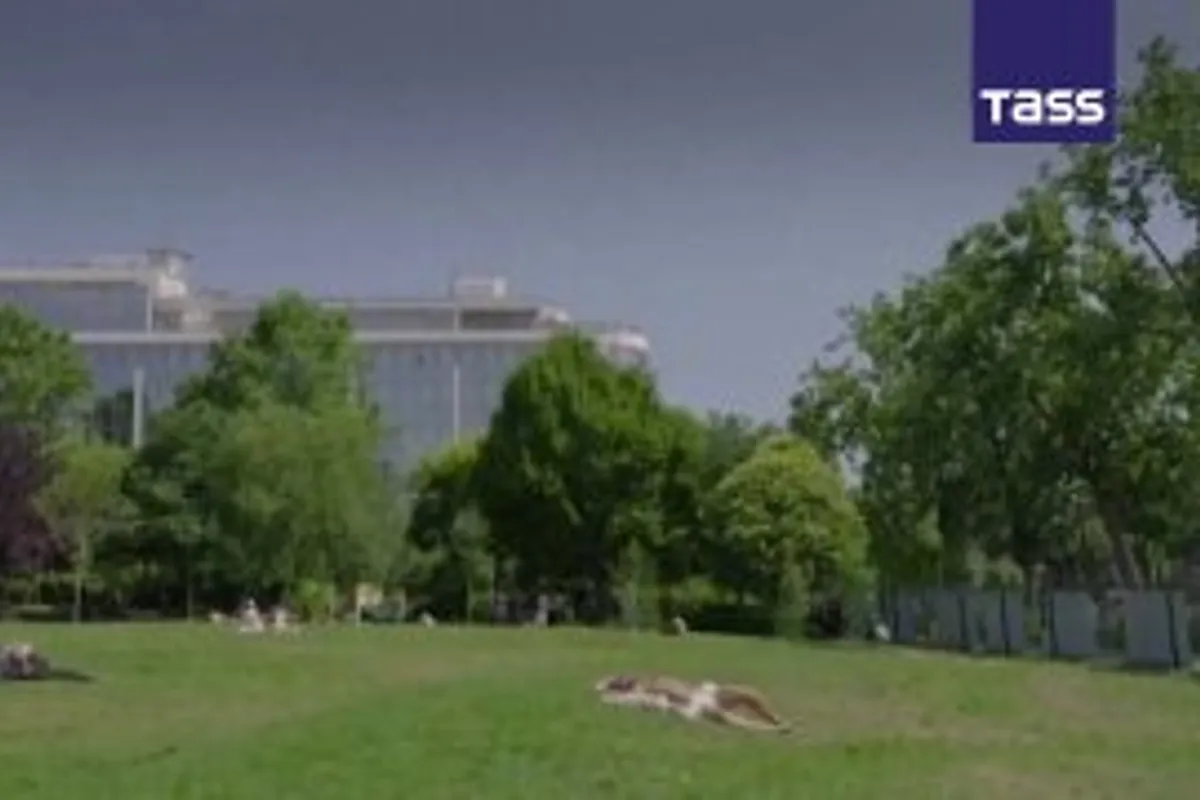 France Swelters in Heat: 80 Departments Under Warning