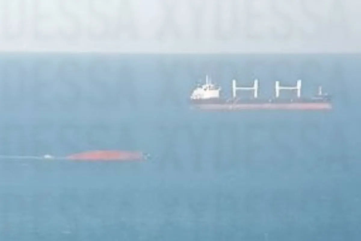 Golden Leo Sinks a Week After Russian Attack, Ukrainian Ports Left Without Ships