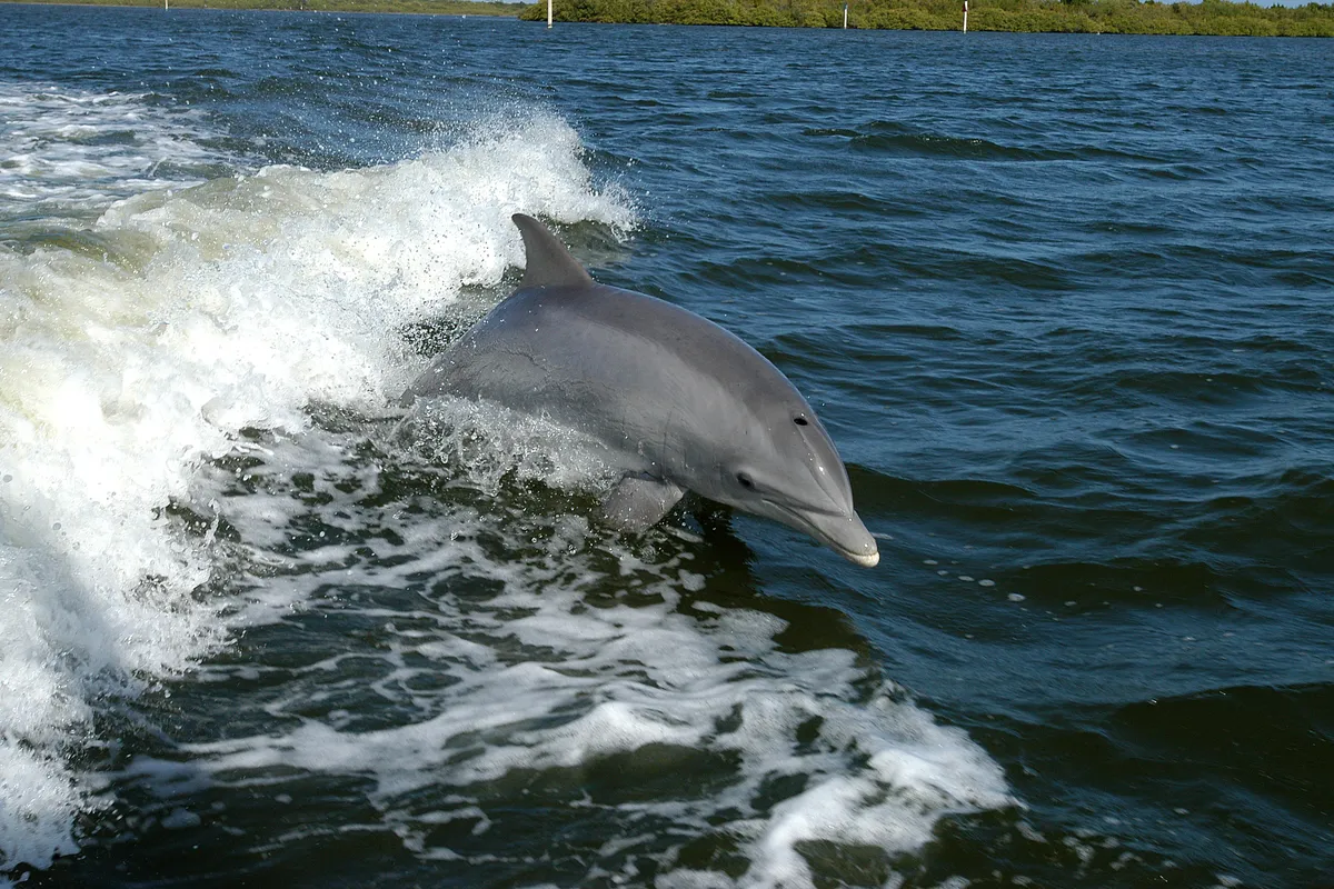 China in höchster Alarmbereitschaft: Taifun Dolphin droht mit massiven Überschwemmungen