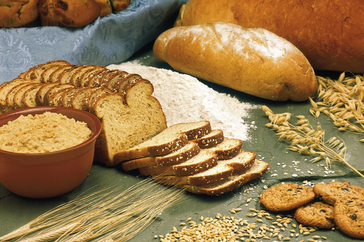 Brot, das fast alles enthält, was der Mensch braucht