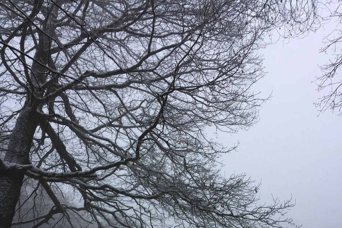 Im Ozean aufgetaucht und könnte den Winter in Europa verändern