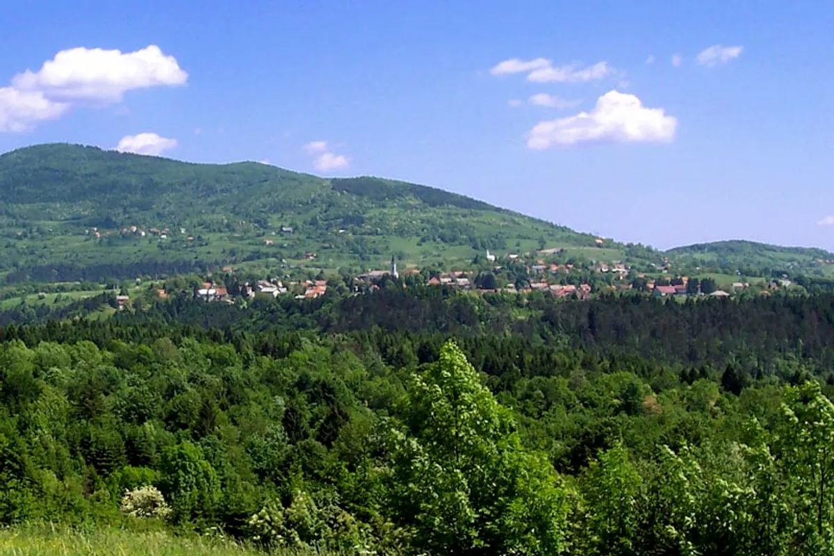 Politička kriza u Vrbovskom: Mufić prijeti sjednicom