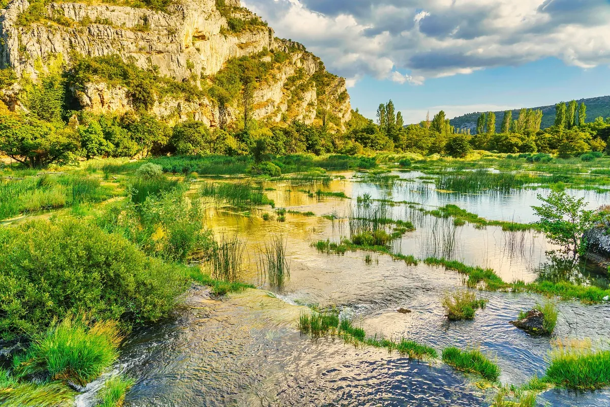 Nur ein Bieter bei HAMAG-BICRO-Ausschreibung im Wert von 200.000 Euro