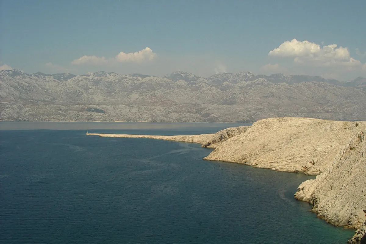 Special Forces Ate Vipers on Velebit: 'I Still Keep Their Skins Today'