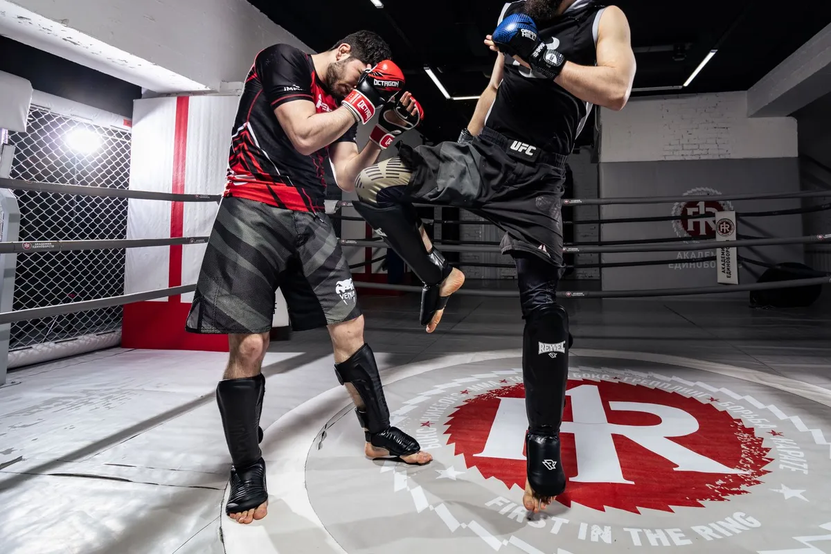 UFC Beograd: Rekordna zarada od 2,49 milijuna dolara