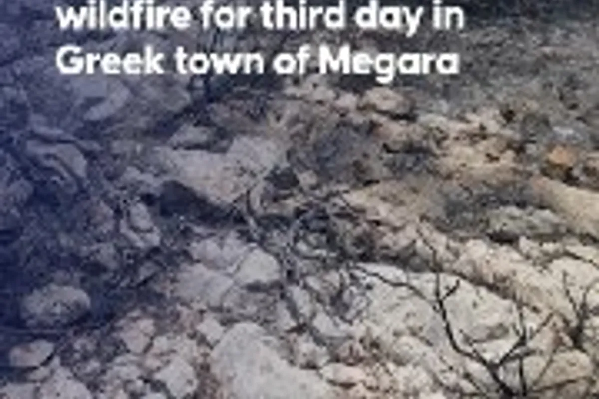 Fire Apocalypse: The World Battles Record Heat and Wildfires
