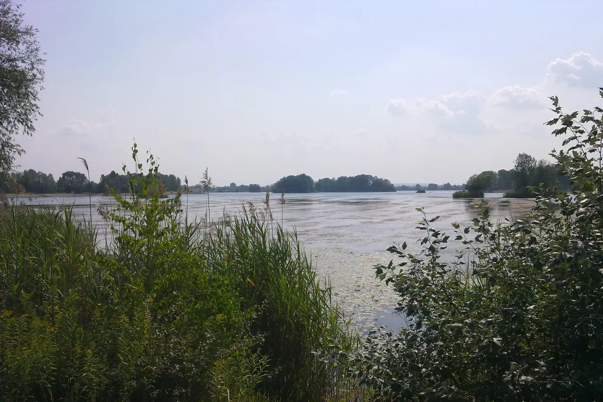 Vrhunac toplinskog vala: Drava presušuje, ali kupači ne odustaju