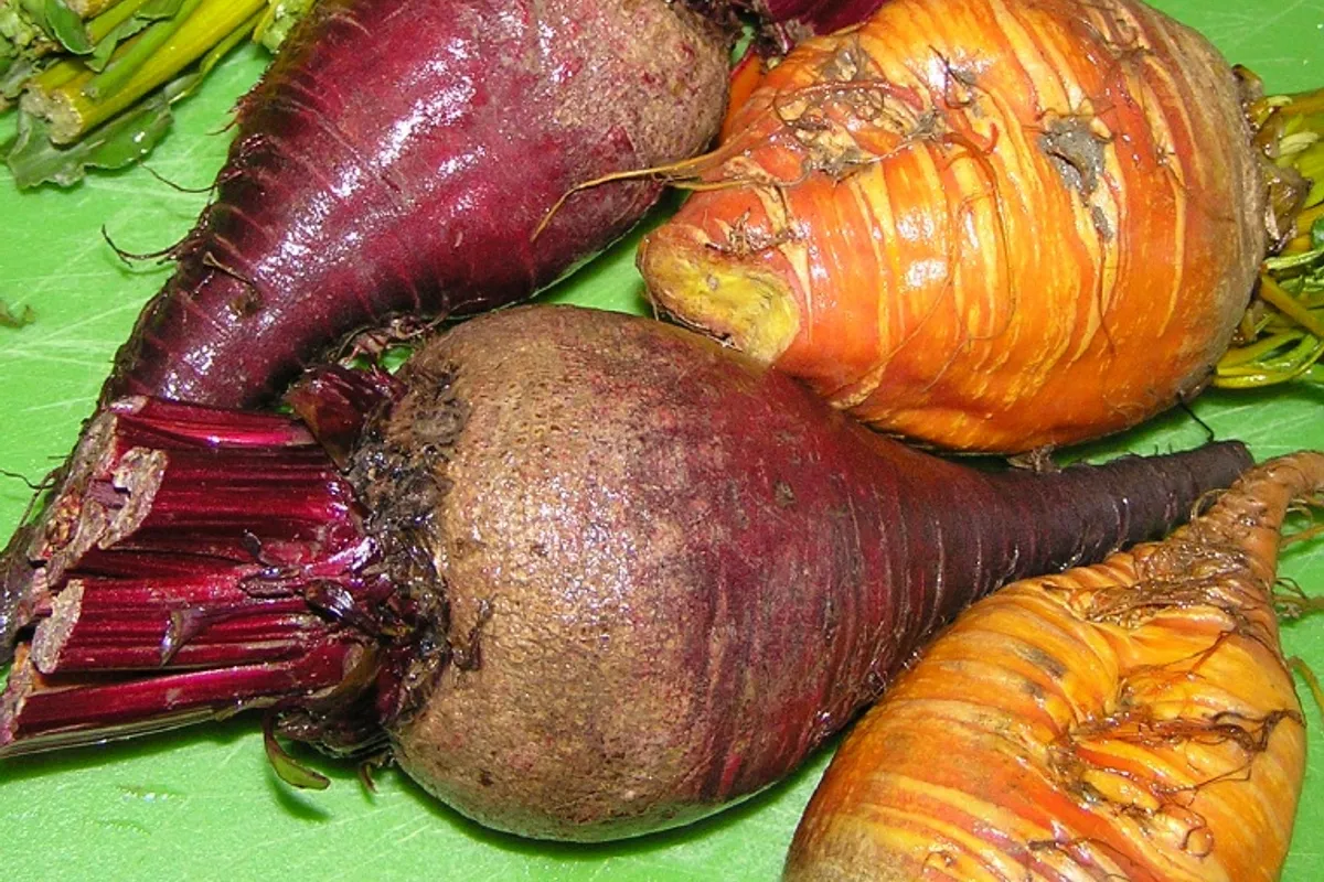 Warum Mangold besser für Herz und Knochen ist, als Sie denken
